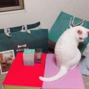 ヒメ日記 2026/03/23 14:18 投稿 すずか 丸妻 池袋店