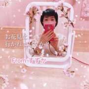 ヒメ日記 2026/03/29 12:30 投稿 すずか 丸妻 池袋店