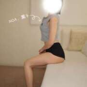 ヒメ日記 2026/04/01 20:16 投稿 薫子（かおるこ） NOA（ノア）