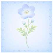 ヒメ日記 2026/03/14 10:01 投稿 水原　すい 癒し娘診療所 水戸・ひたちなか店