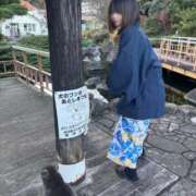 まなみ もっと知りたい ルピナス