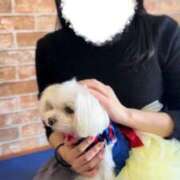 ヒメ日記 2026/01/19 10:00 投稿 コトネ Aroma De Pari（アロマ・デ・パリ）