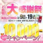 ヒメ日記 2026/03/13 09:55 投稿 三野宮けい 横浜ダンディー