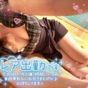 ヒメ日記 2026/05/15 06:11 投稿 三野宮けい 横浜ダンディー