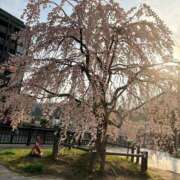 ヒメ日記 2026/04/07 14:29 投稿 優しさ溢れる乙女もえ 嗚呼、四十五歳以上