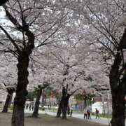 ヒメ日記 2026/04/07 15:22 投稿 優しさ溢れる乙女もえ 嗚呼、四十五歳以上