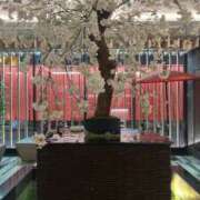 ヒメ日記 2026/02/01 02:37 投稿 絵夢-EMU- luxury aroma 咲