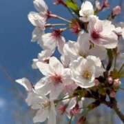 絵夢-EMU- 𓏸𓏸な季節、 😵‍💫 luxury aroma 咲