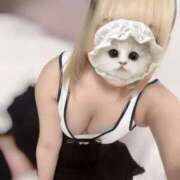 ヒメ日記 2026/03/29 15:20 投稿 くるみ リアル 日本橋店