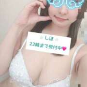 ヒメ日記 2026/01/21 20:10 投稿 中野しほ 社外秘 松戸支店