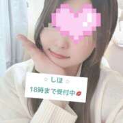 ヒメ日記 2026/01/31 15:47 投稿 中野しほ 社外秘 松戸支店