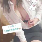 ヒメ日記 2026/02/02 16:17 投稿 中野しほ 社外秘 松戸支店