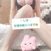 ヒメ日記 2026/02/05 14:13 投稿 中野しほ 社外秘 松戸支店