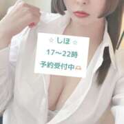 ヒメ日記 2026/02/13 16:29 投稿 中野しほ 社外秘 松戸支店