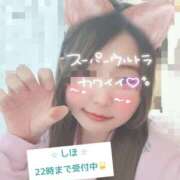 ヒメ日記 2026/02/13 19:23 投稿 中野しほ 社外秘 松戸支店