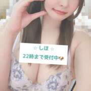 ヒメ日記 2026/02/16 16:33 投稿 中野しほ 社外秘 松戸支店