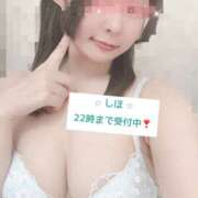 ヒメ日記 2026/02/17 16:55 投稿 中野しほ 社外秘 松戸支店