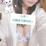 ヒメ日記 2026/02/19 16:20 投稿 中野しほ 社外秘 松戸支店