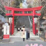 ヒメ日記 2026/03/06 12:00 投稿 中野しほ 社外秘 松戸支店