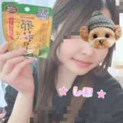 ヒメ日記 2026/03/08 11:54 投稿 中野しほ 社外秘 松戸支店