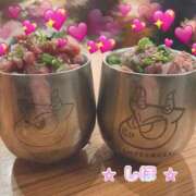 ヒメ日記 2026/03/23 12:10 投稿 中野しほ 社外秘 松戸支店