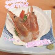 ヒメ日記 2026/03/28 18:30 投稿 中野しほ 社外秘 松戸支店