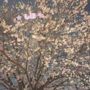 ヒメ日記 2026/04/03 16:00 投稿 中野しほ 社外秘 松戸支店
