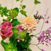 ヒメ日記 2026/01/20 12:48 投稿 こころ ディアクイーンズ