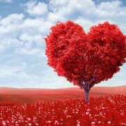 ヒメ日記 2026/01/19 09:56 投稿 片瀬アン(かたせあん) 五十路マダムエクスプレス厚木店(カサブランカグループ)