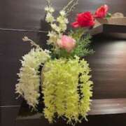 ヒメ日記 2026/01/31 18:26 投稿 片瀬アン(かたせあん) 五十路マダムエクスプレス厚木店(カサブランカグループ)