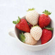 ヒメ日記 2026/03/11 15:58 投稿 片瀬アン(かたせあん) 五十路マダムエクスプレス厚木店(カサブランカグループ)