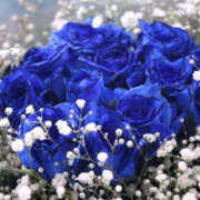 ヒメ日記 2026/03/21 16:40 投稿 片瀬アン(かたせあん) 五十路マダムエクスプレス厚木店(カサブランカグループ)