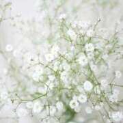 片瀬アン(かたせあん) お知らせです 五十路マダムエクスプレス厚木店(カサブランカグループ)