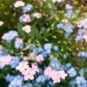 ヒメ日記 2026/10/03 21:00 投稿 片瀬アン(かたせあん) 五十路マダムエクスプレス厚木店(カサブランカグループ)
