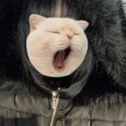 ヒメ日記 2026/02/23 08:34 投稿 黒滝ゆりか 川崎小町（川崎ハレ系）