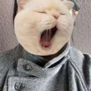 ヒメ日記 2026/03/06 11:32 投稿 黒滝ゆりか 川崎小町（川崎ハレ系）