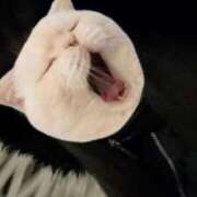 ヒメ日記 2026/03/18 13:52 投稿 黒滝ゆりか 川崎小町（川崎ハレ系）