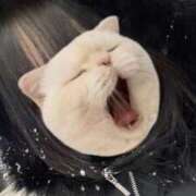 ヒメ日記 2026/03/19 16:31 投稿 黒滝ゆりか 川崎小町（川崎ハレ系）