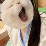 ヒメ日記 2026/03/24 11:58 投稿 黒滝ゆりか 川崎小町（川崎ハレ系）