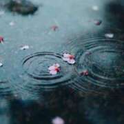 ヒメ日記 2026/03/03 07:26 投稿 朝倉 熟女の風俗最終章 新横浜店