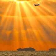 ヒメ日記 2026/03/06 09:06 投稿 朝倉 熟女の風俗最終章 新横浜店