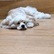 ヒメ日記 2026/01/23 11:44 投稿 ゆい バタフライ立川