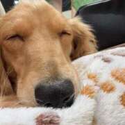 ヒメ日記 2026/03/12 13:44 投稿 ゆい バタフライ立川