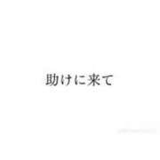 ヒメ日記 2026/03/18 11:44 投稿 ゆい バタフライ立川
