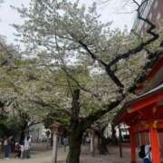 ヒメ日記 2026/04/06 15:12 投稿 ゆい バタフライ立川