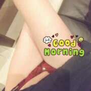 ヒメ日記 2026/02/12 11:37 投稿 そよか 熟女の風俗最終章 池袋店