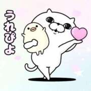 ヒメ日記 2026/03/16 07:36 投稿 あん 熟女総本店 日本橋ミナミエリア店