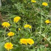 ヒメ日記 2026/04/07 20:45 投稿 まなか 新宿11チャンネル