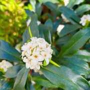 あき お待ちしてます🩷 迷宮の人妻　熊谷・行田発