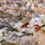 ヒメ日記 2026/03/24 20:59 投稿 あき 迷宮の人妻　熊谷・行田発